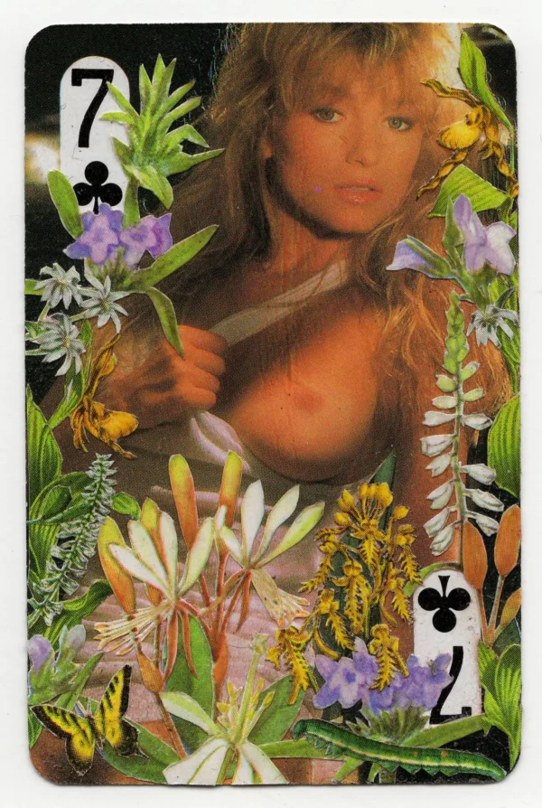 Nude Playing Card Commission - Image 6