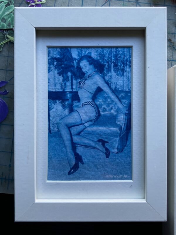 cyanotype pinup prints, framed - Image 3