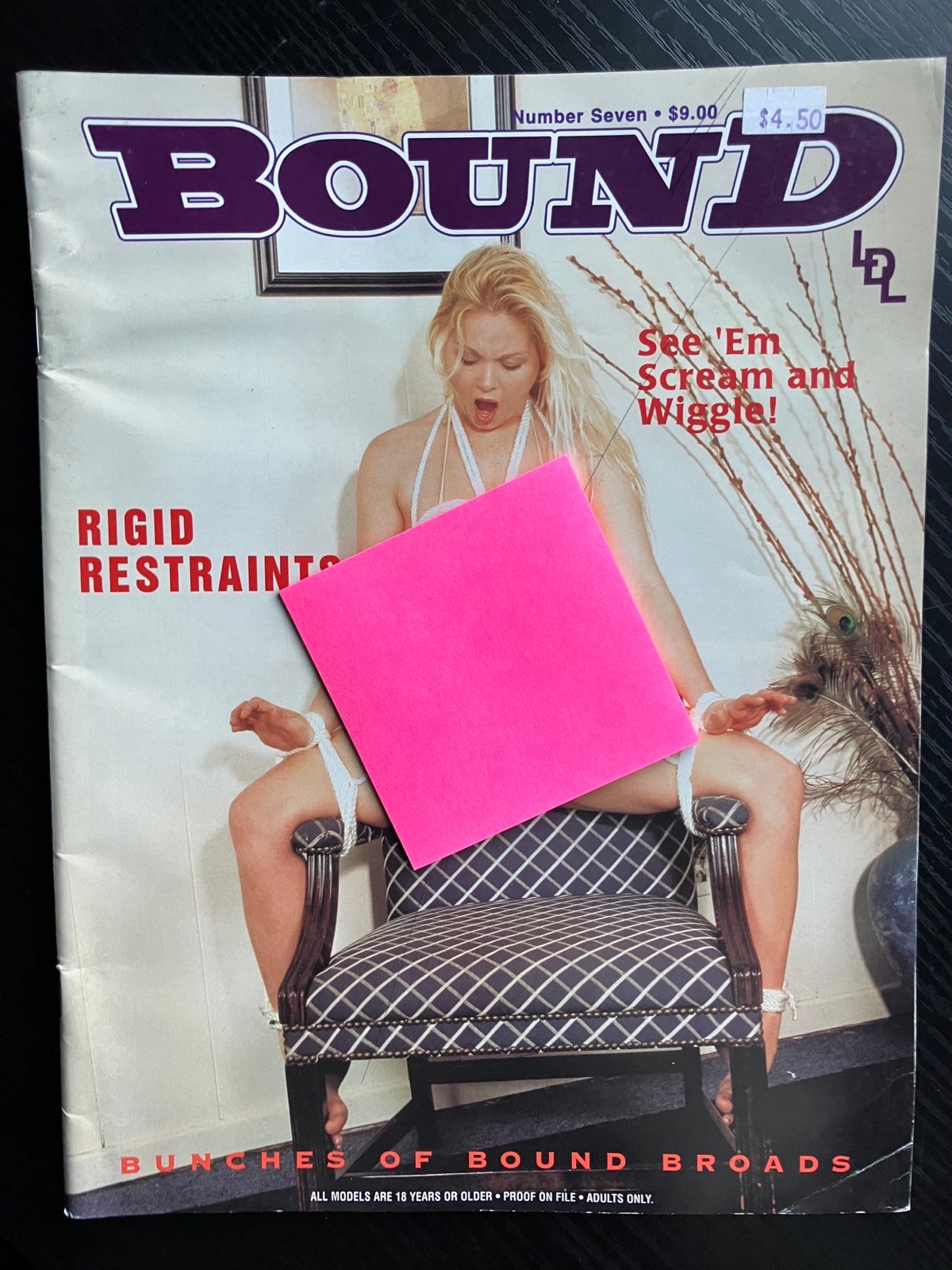 BDSM Magazines - Image 10