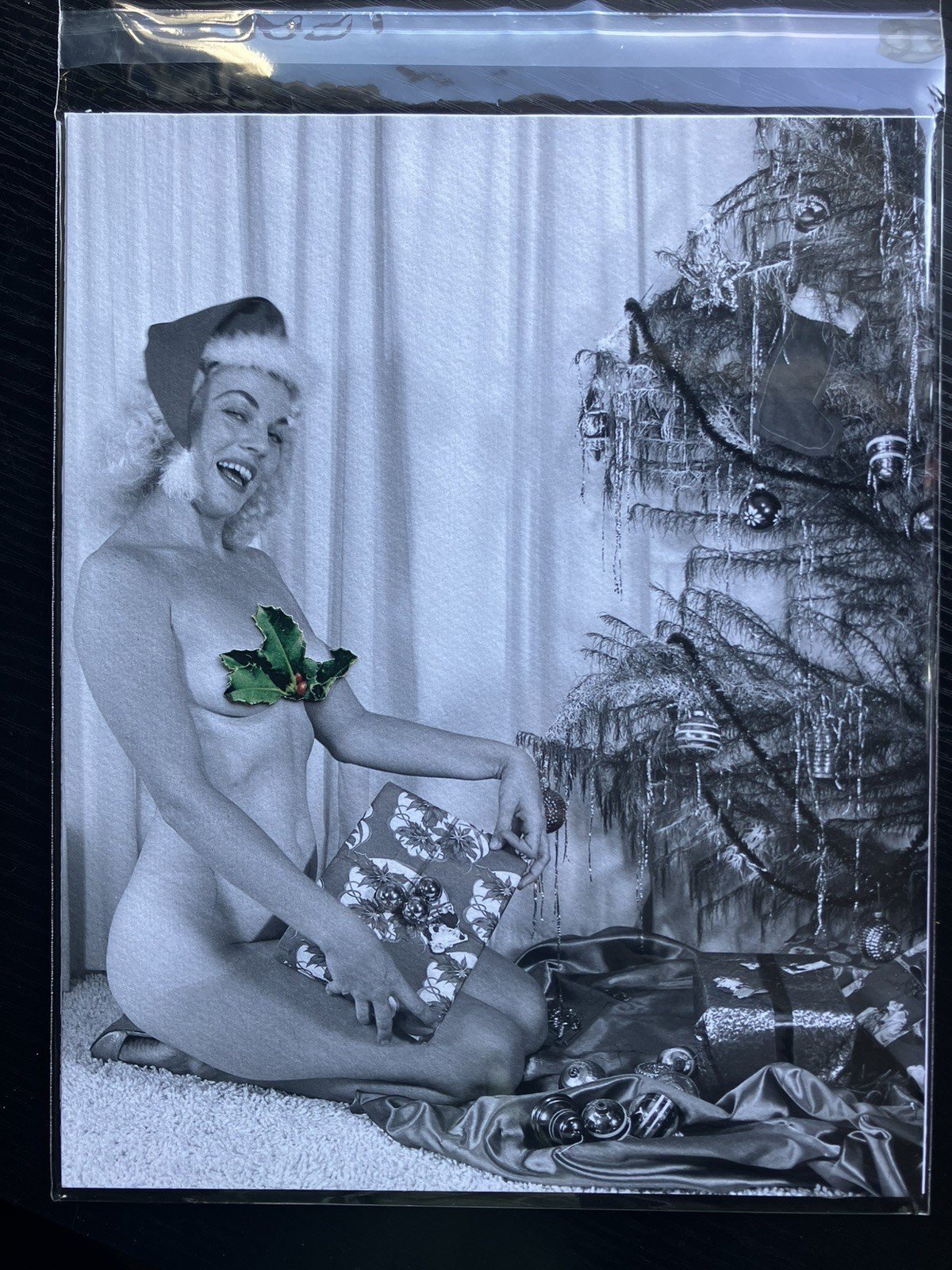 Pinup Photography Reproductions - Image 6